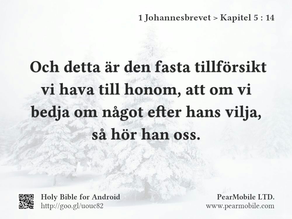 1 Johannesbrevet, Kapitel 5:14